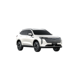 Haval H6 PHEV19